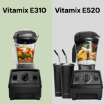 Vitamix E310 vs E520